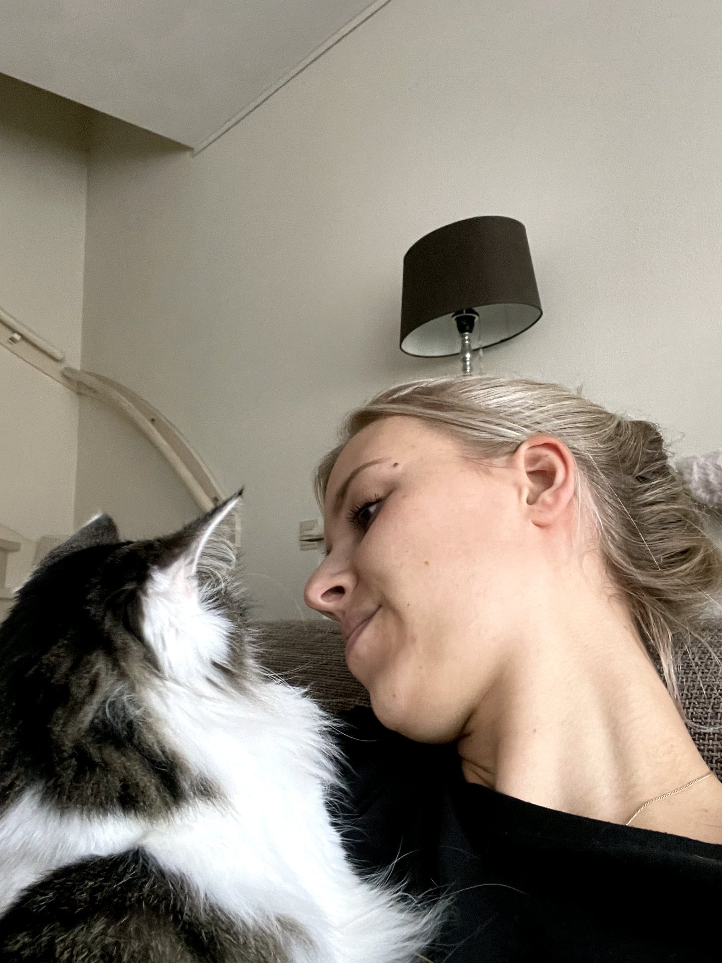 Indy, pet sitter in Best, photo 5