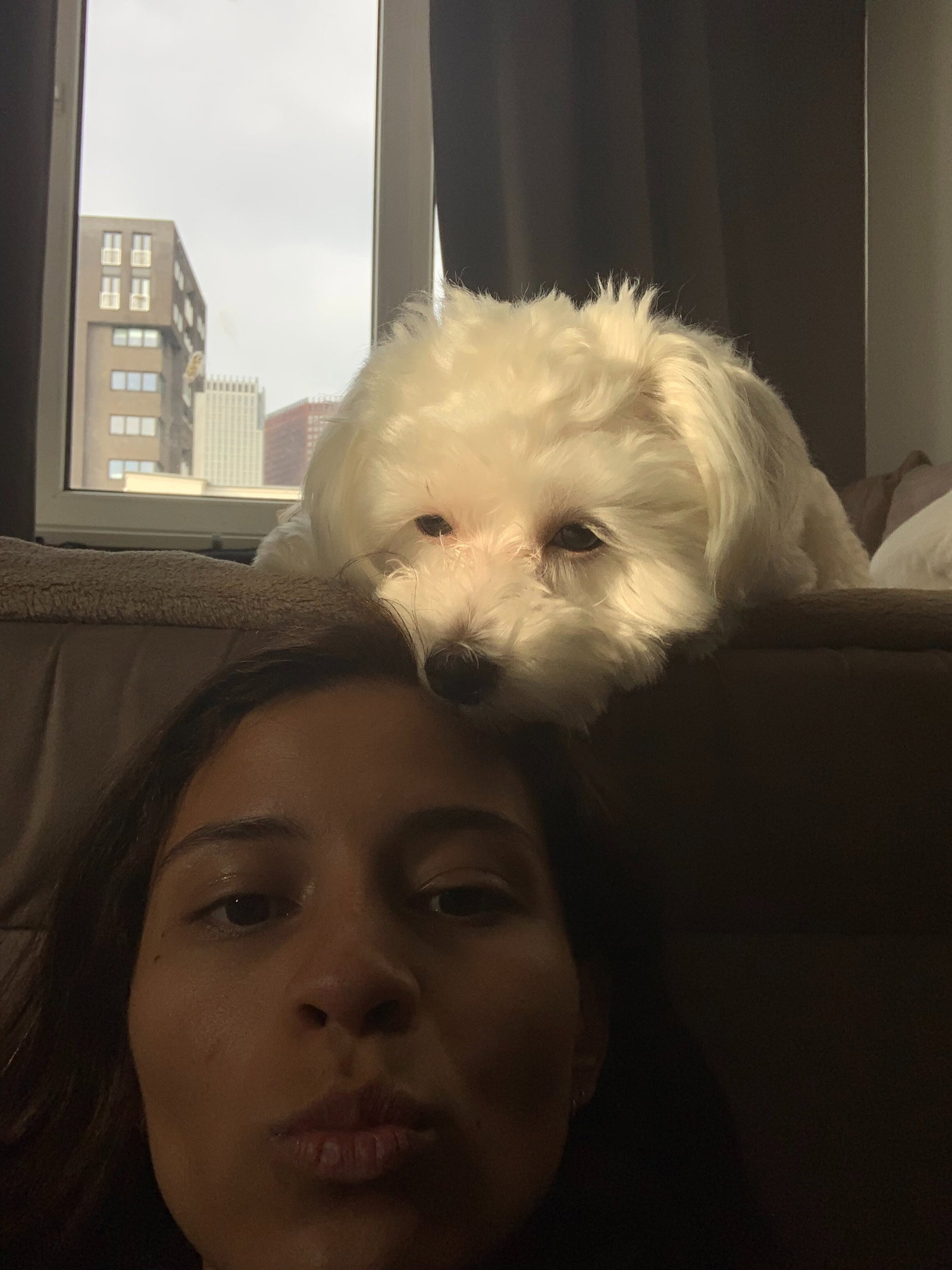 Denise, pet sitter in Rotterdam, photo 3
