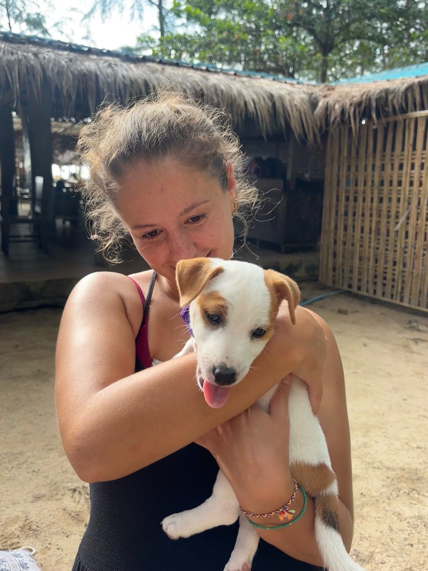 Adriana, pet sitter in Haarlem, photo 3