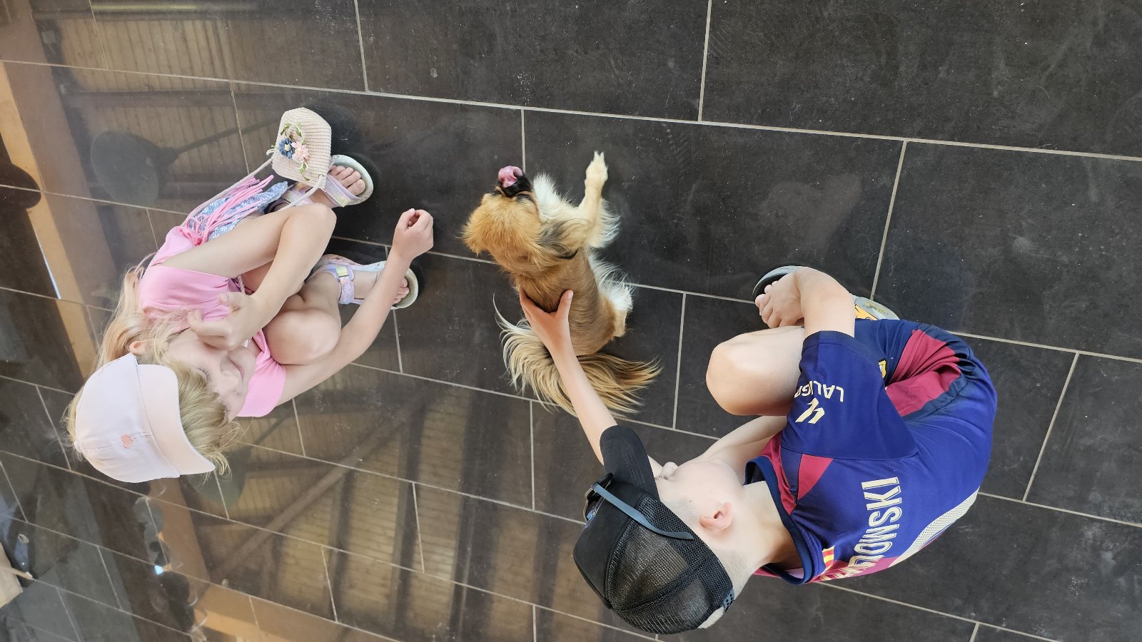 Agnieszka, pet sitter in Den Haag, photo 3