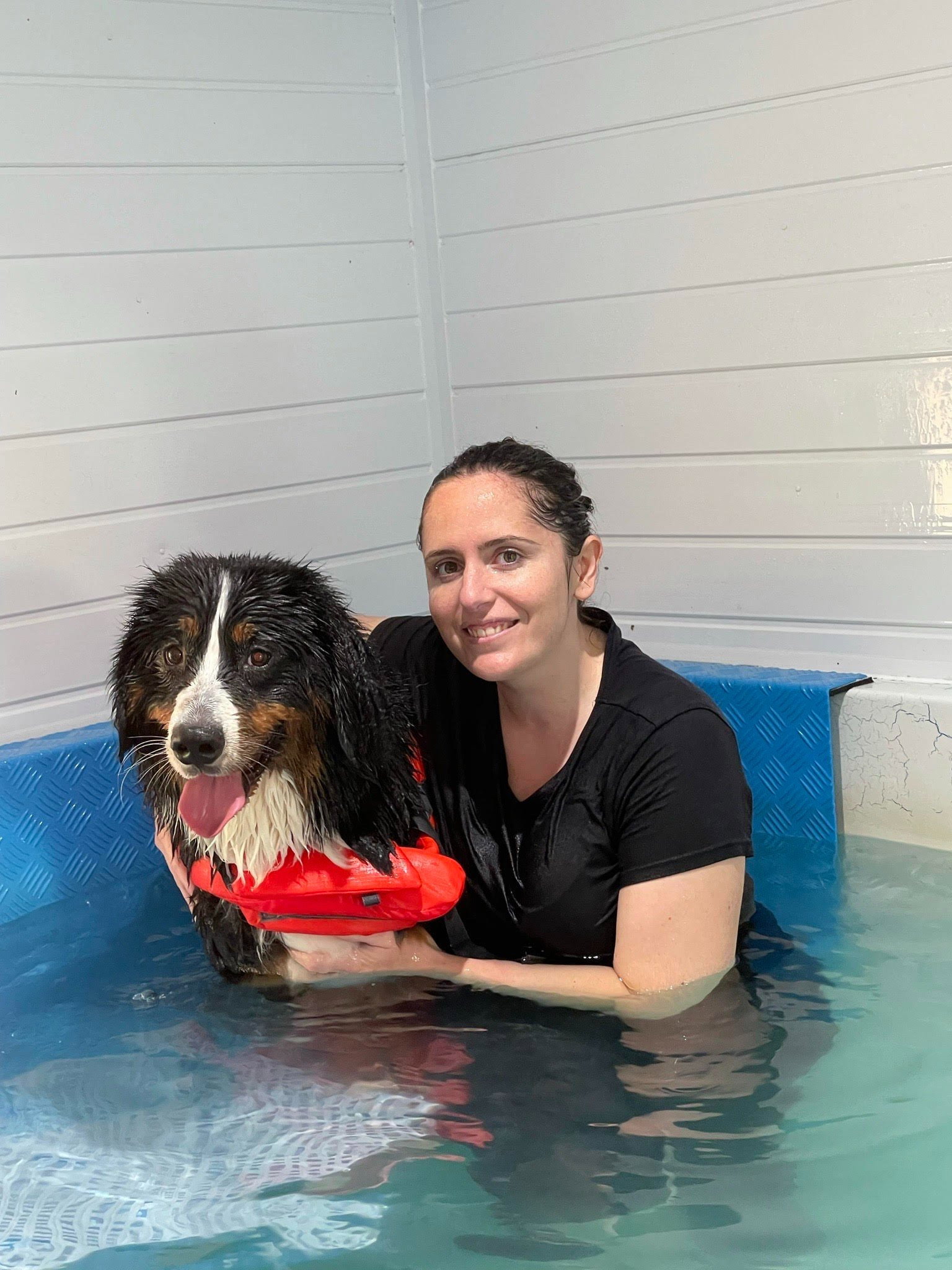 Lourdes, pet sitter in 's-Gravenhage, photo 4