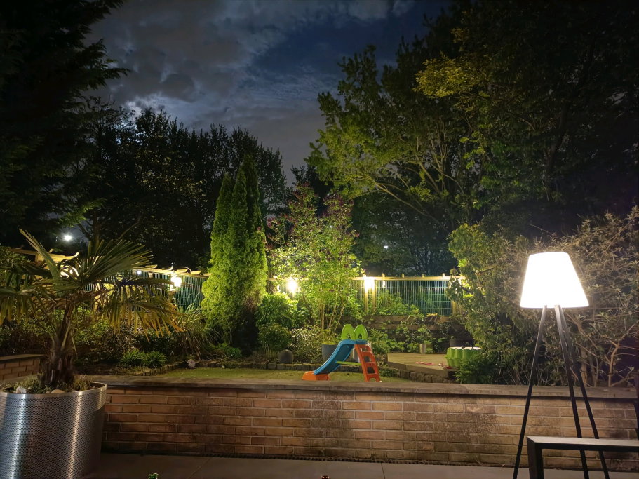 Veronique, pet sitter in Zoetermeer, photo 1