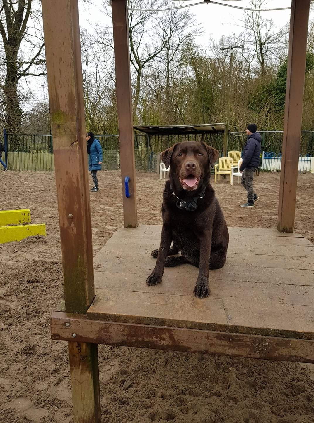 Michael en Angelique, pet sitter in Zoetermeer, photo 4