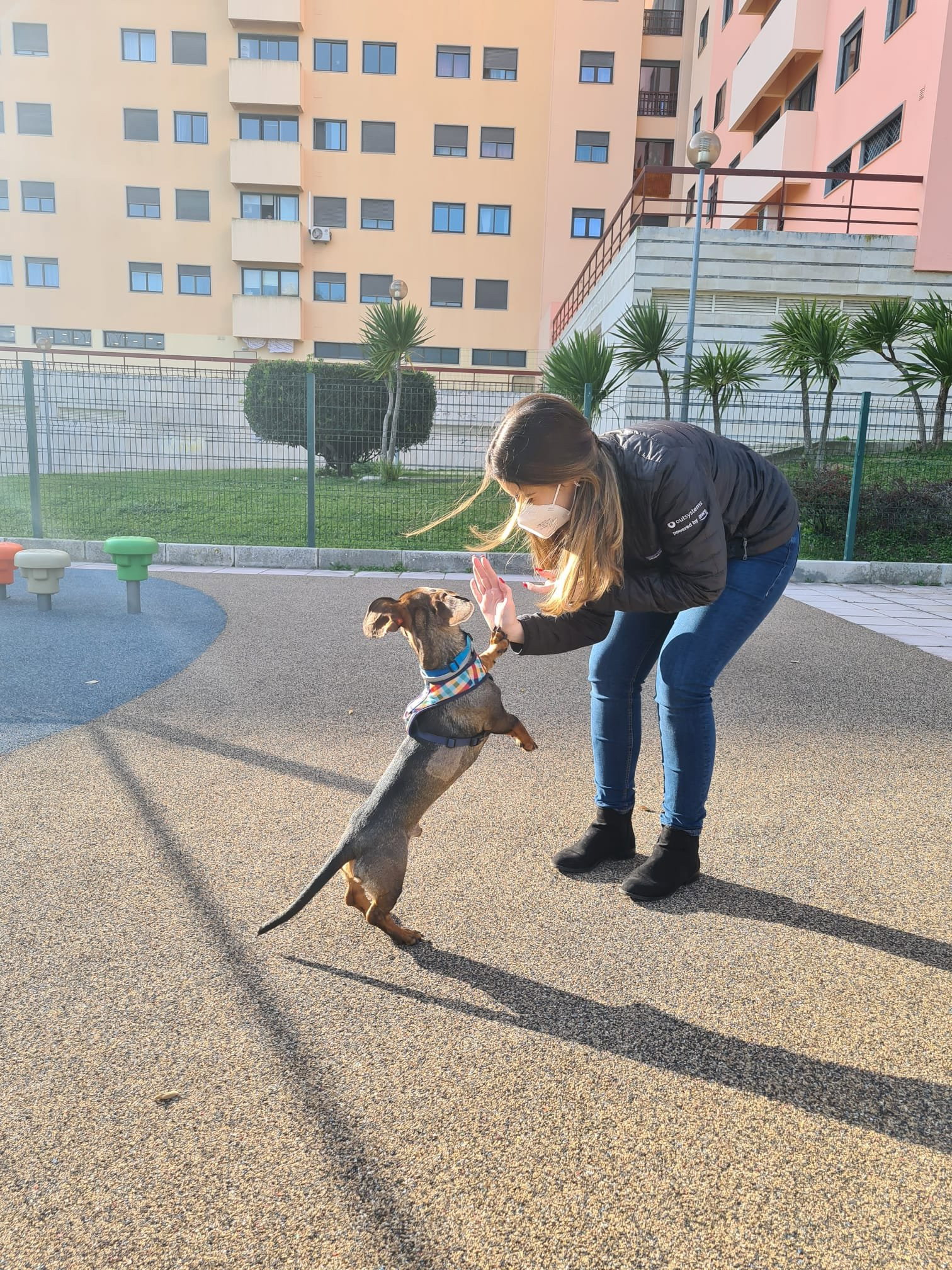 Ines, pet sitter in Zaandam, photo 1