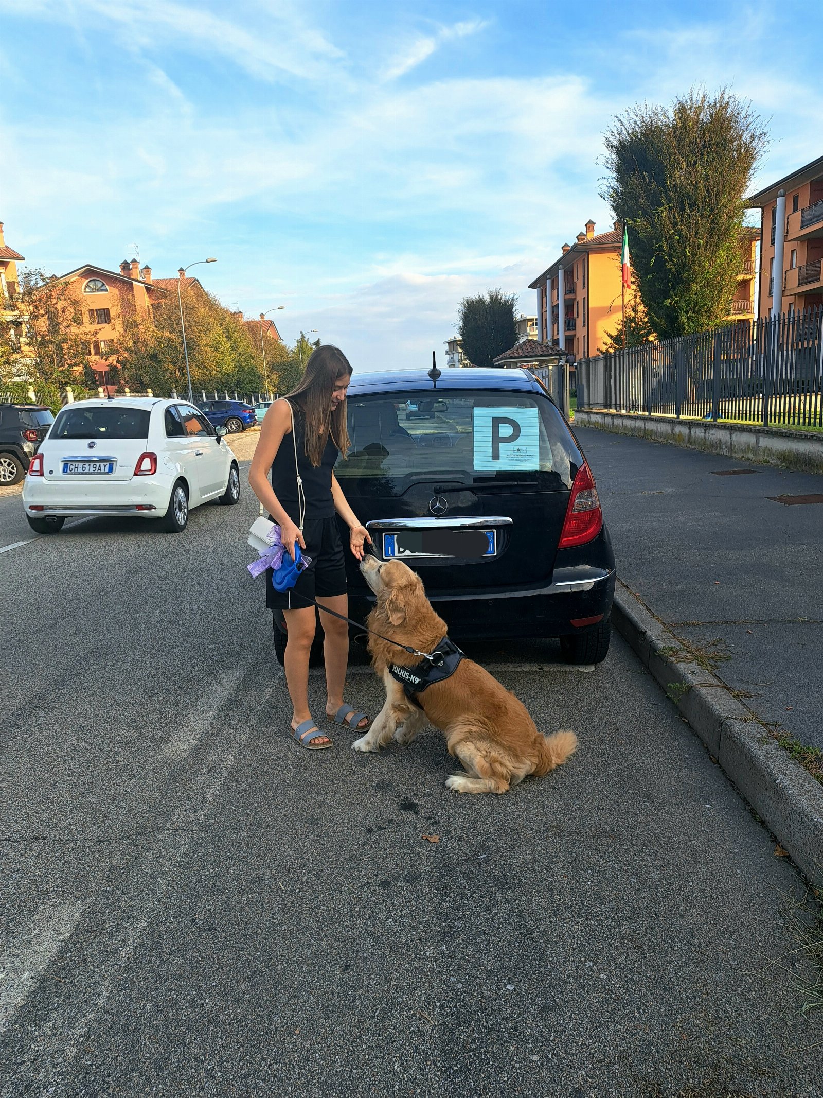 Noa, pet sitter in Hoeven, photo 1