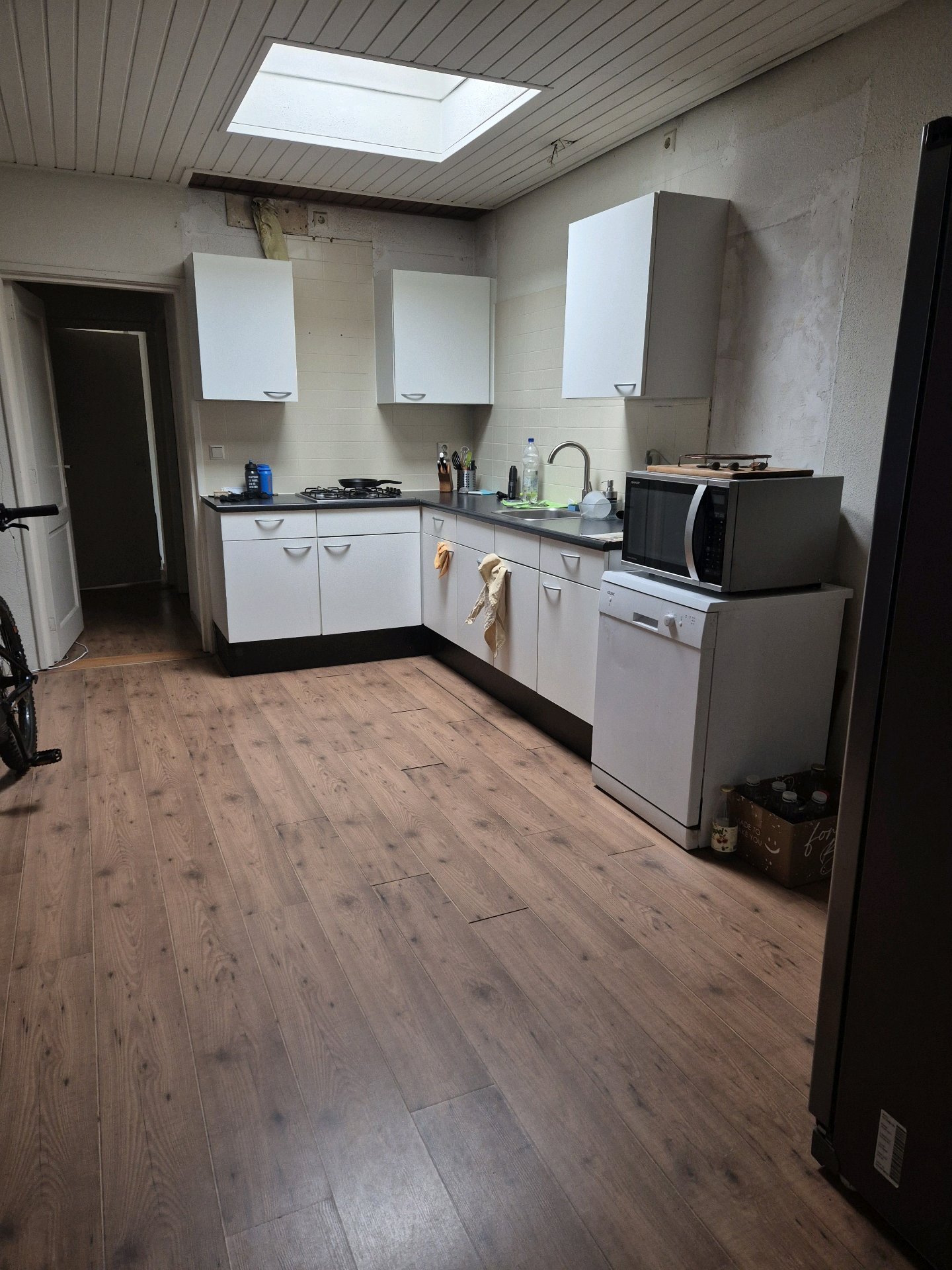 Els, dierenoppas in Utrecht, foto 3