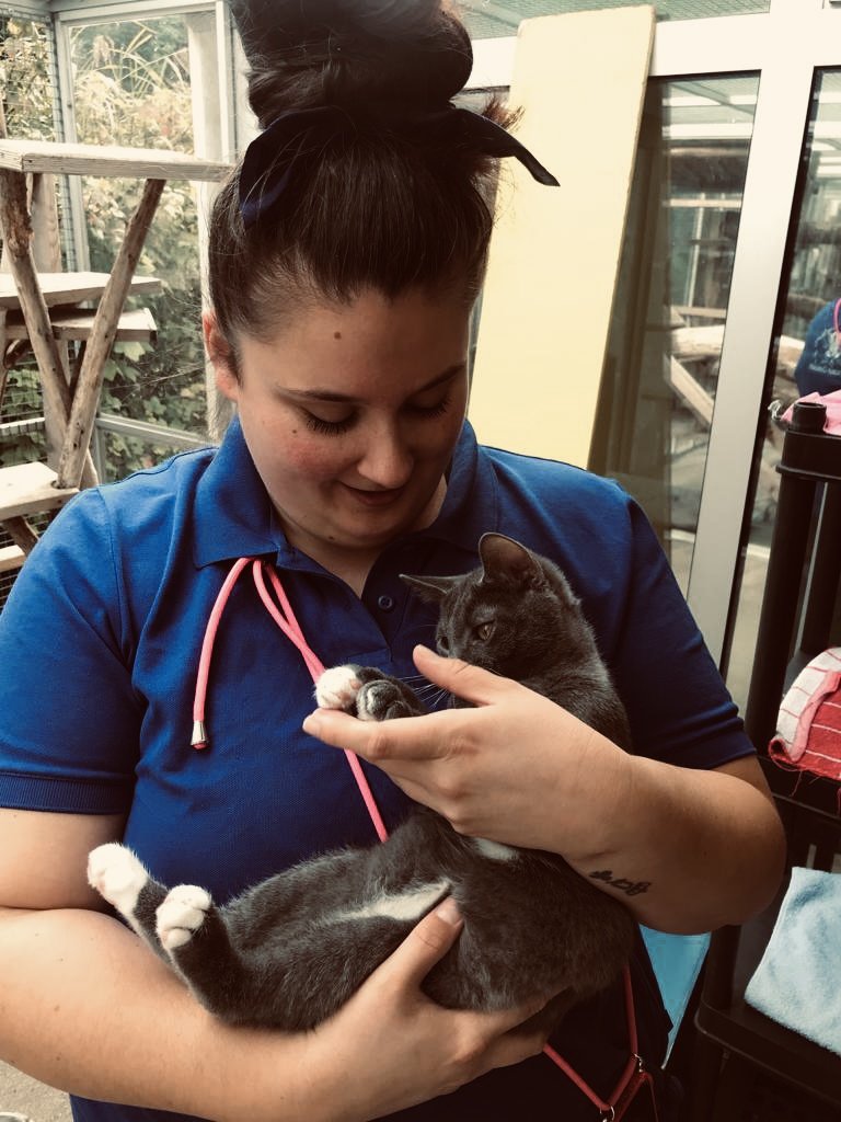 Jacyntha, pet sitter in Bovenkarspel, photo 1