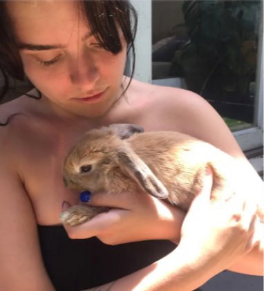 Ariane, pet sitter in Den Haag, photo 1
