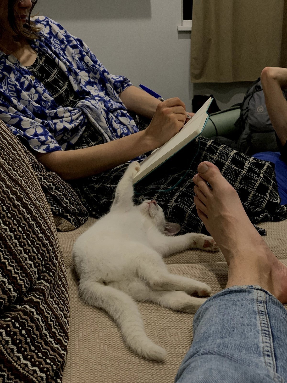 Emiliia, pet sitter in Apeldoorn, photo 3