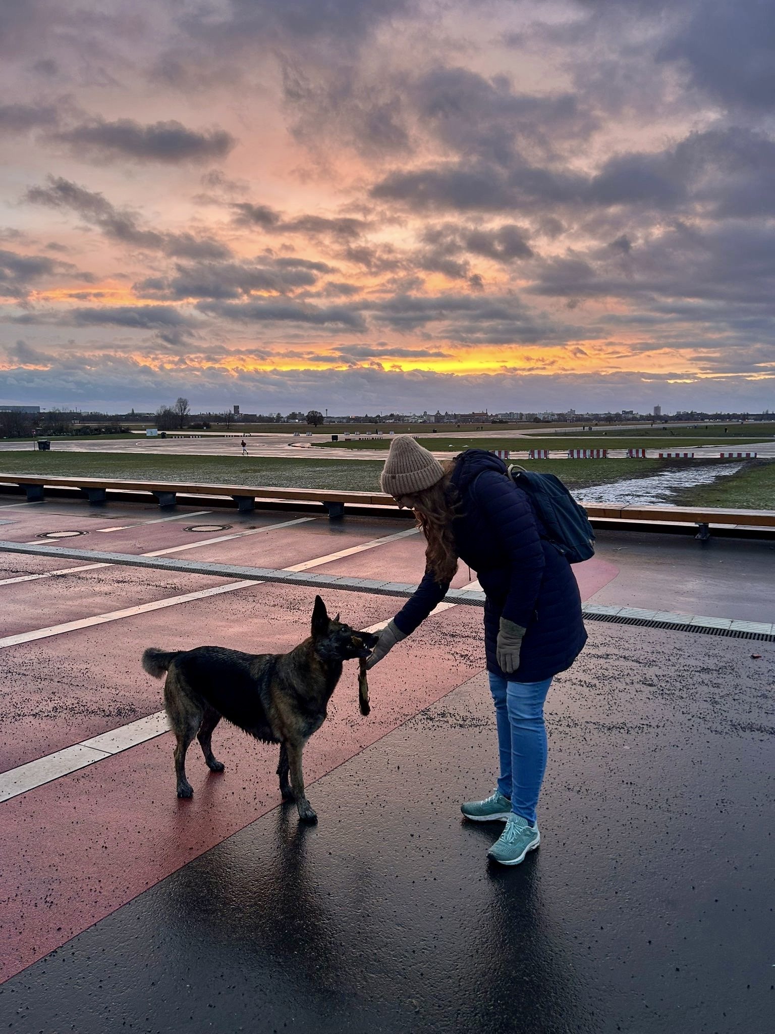 Nina, Tiersitter in Berlin, Foto 3