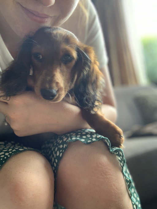 Liz, pet sitter in Nijmegen, photo 2