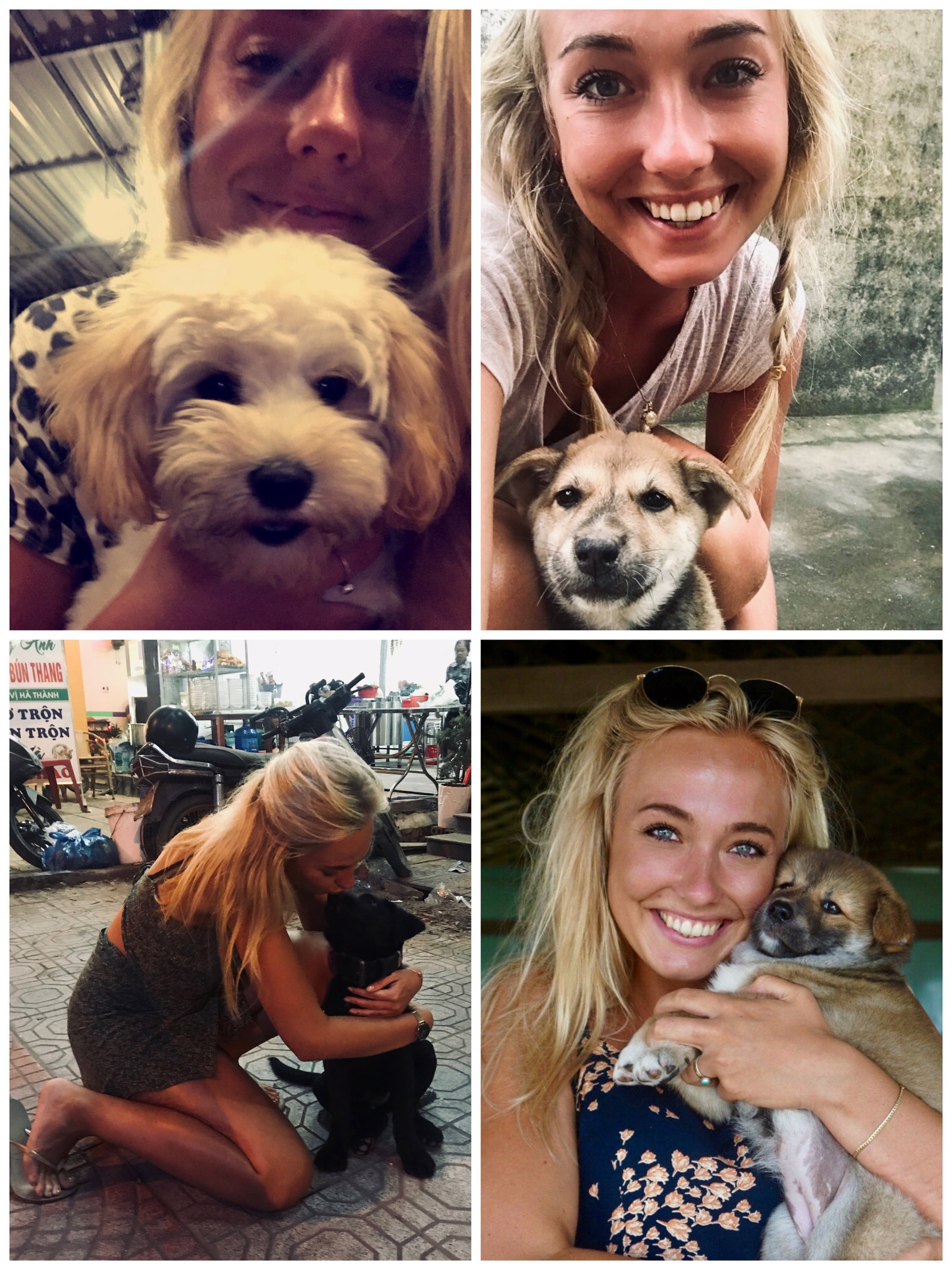 Lotte, pet sitter in Groningen, photo 1