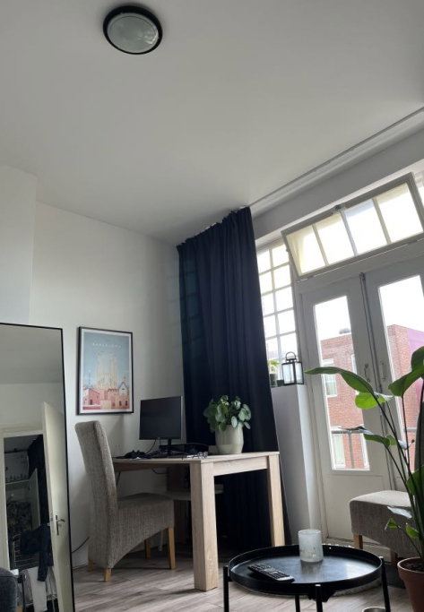 Joël, dierenoppas in Groningen, foto 5