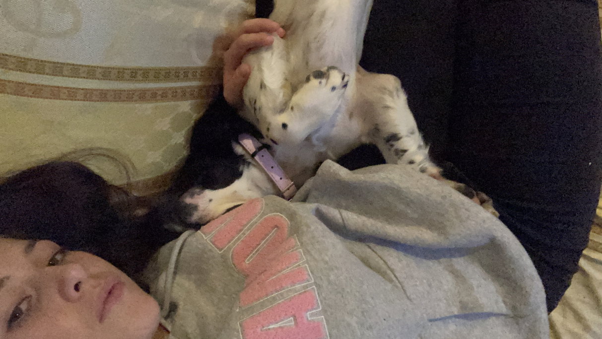Sara, pet sitter in Amsterdam, photo 3