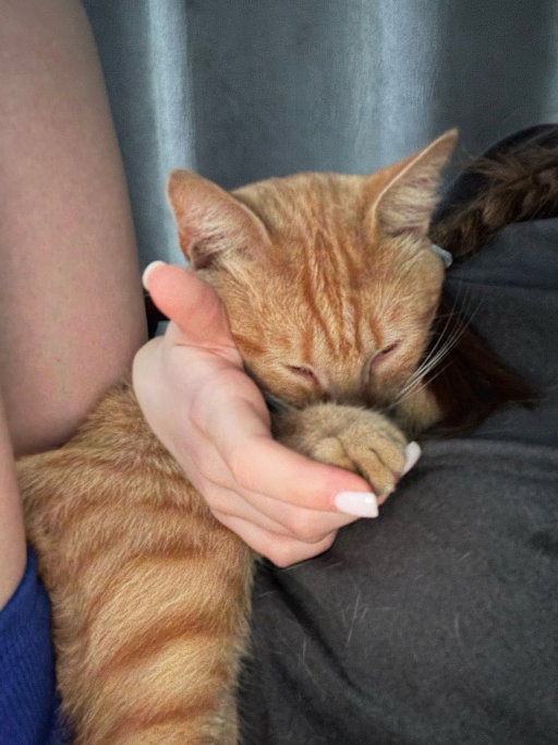 Daria, pet sitter in Maastricht, photo 2