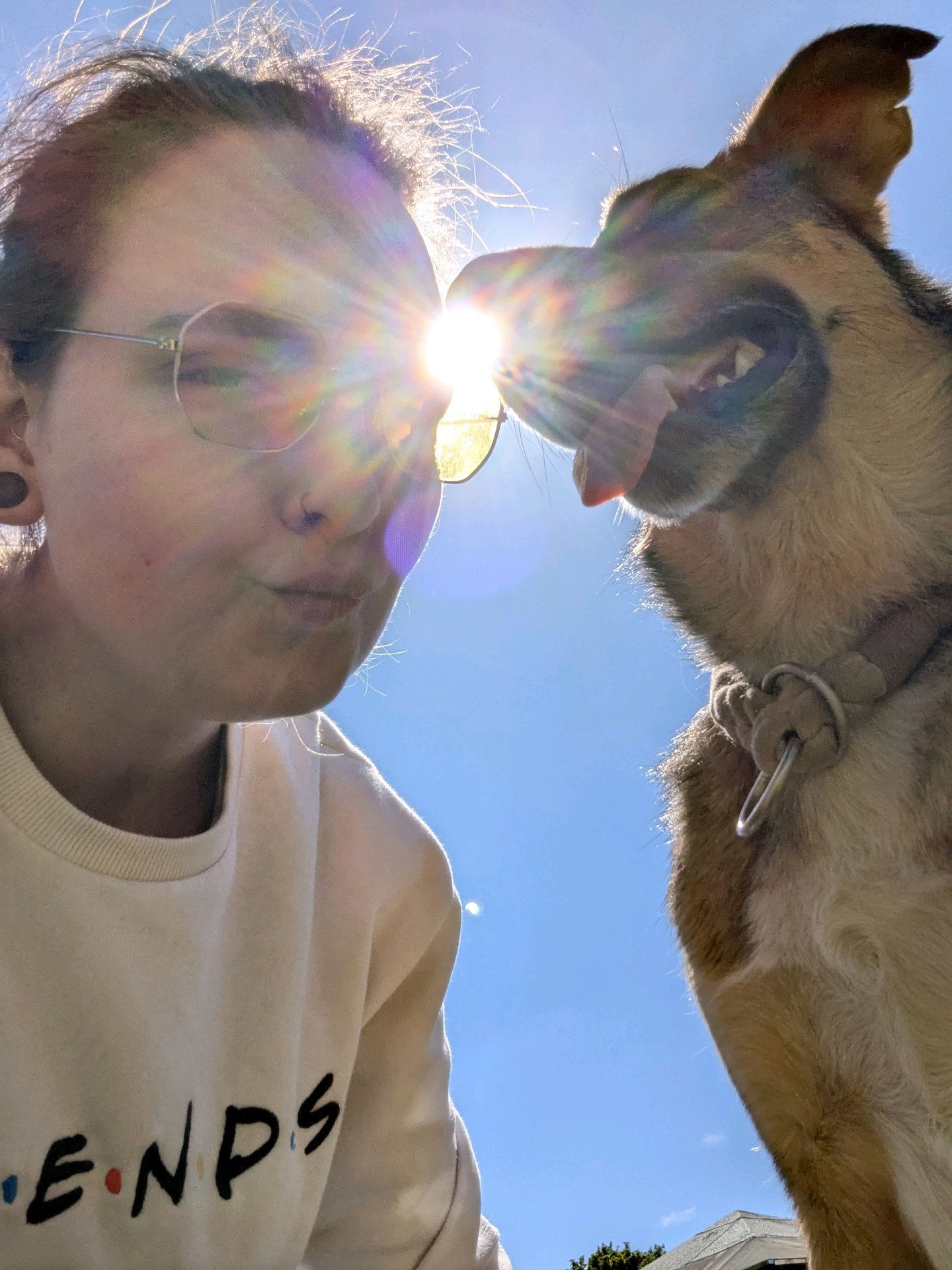 Anika, pet sitter in Düsseldorf, photo 5