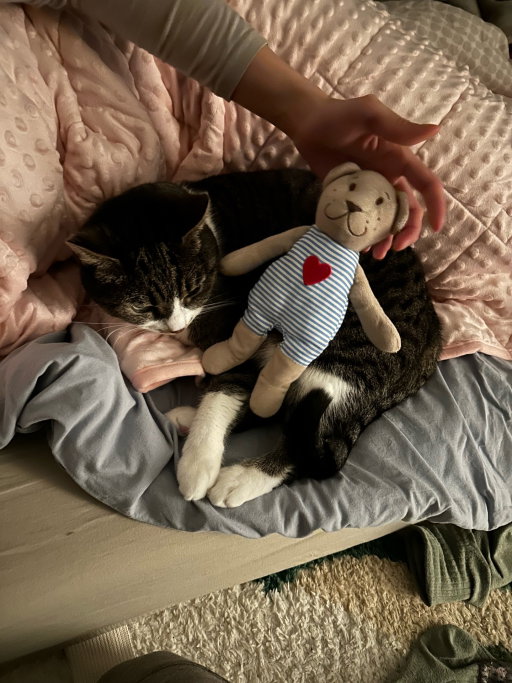 Xuan, pet sitter in Amsterdam, photo 5