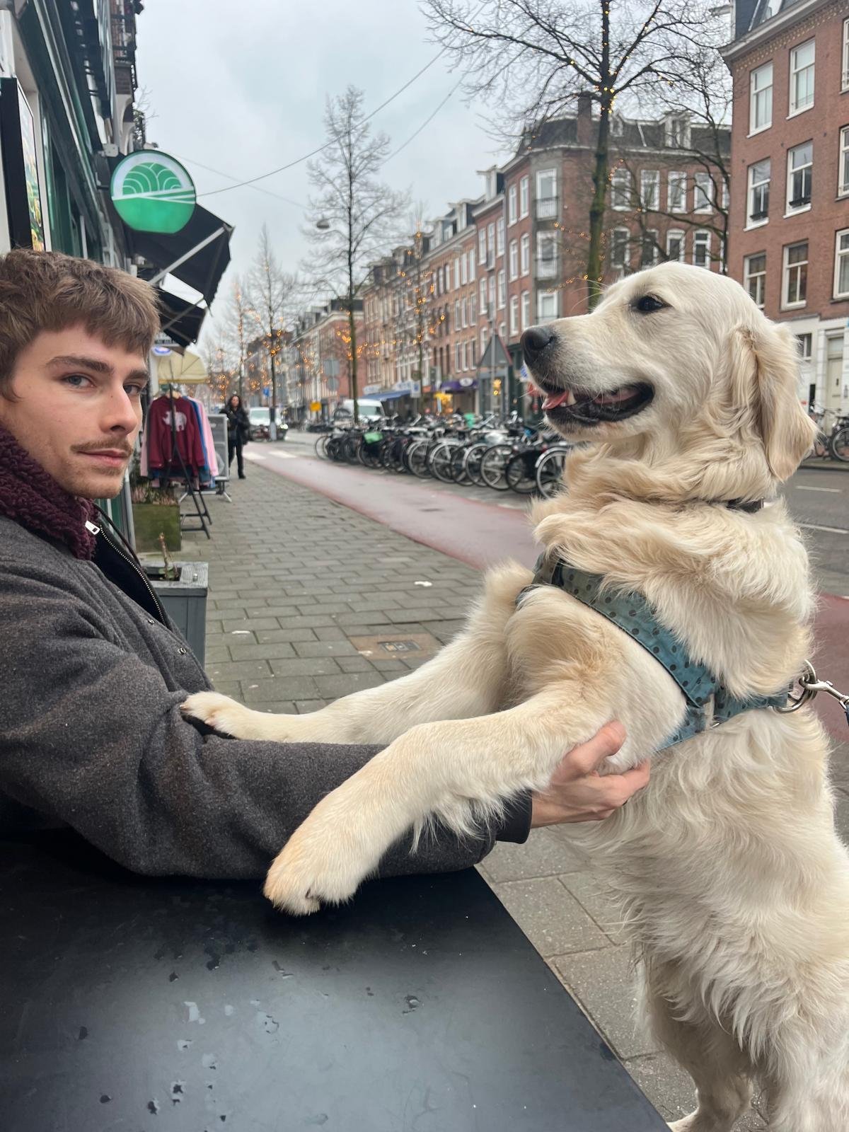 Laura, pet sitter in Amsterdam, photo 4