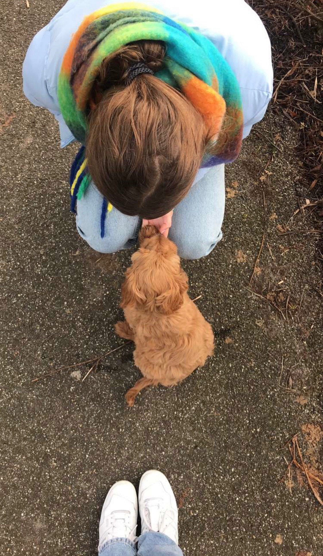 Eefje, pet sitter in Utrecht, photo 5