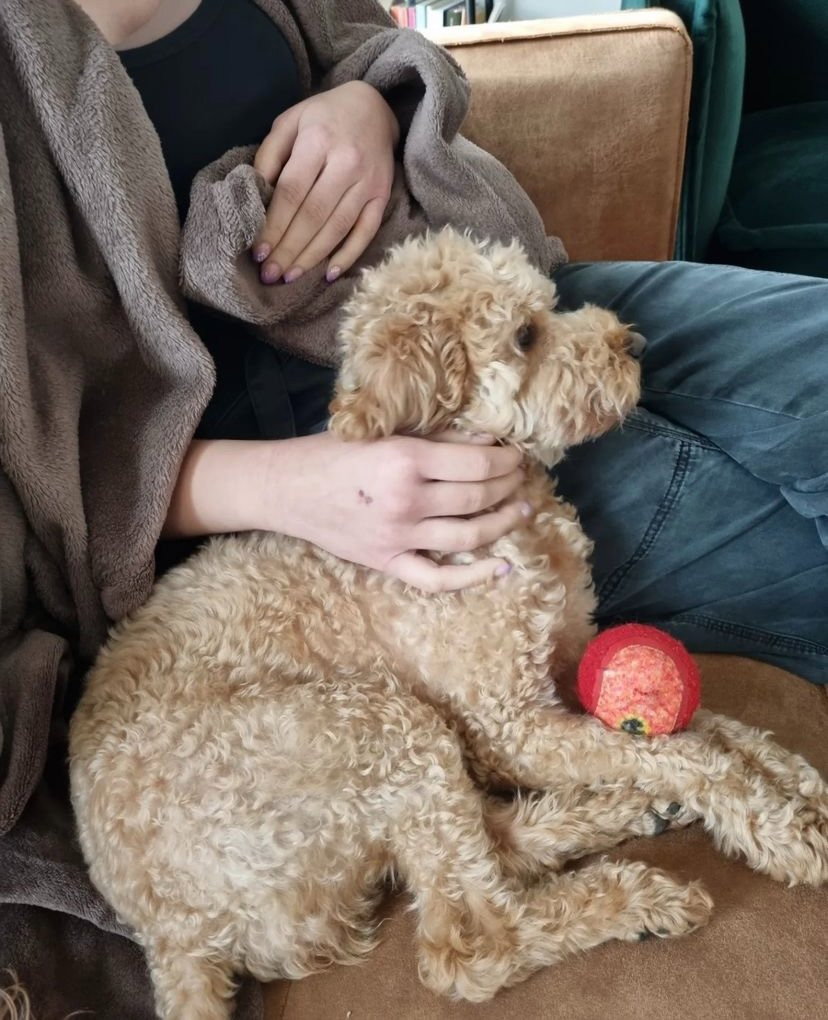 Ejona, pet sitter in Amsterdam, photo 2