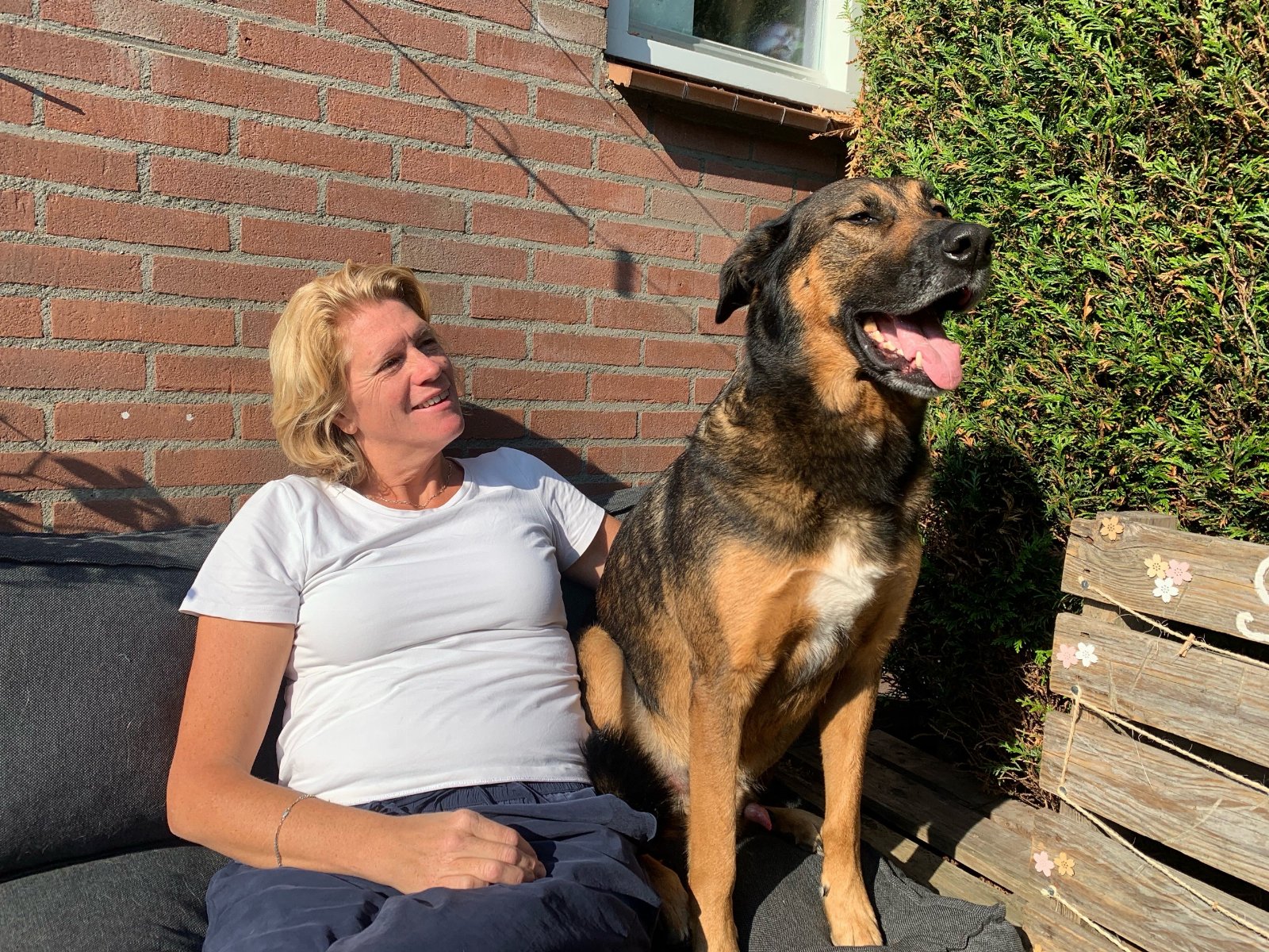 Simone, pet sitter in Bussum, photo 2