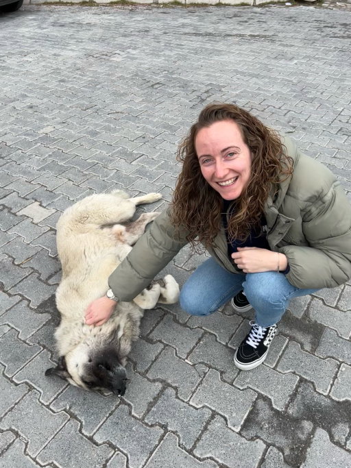 rowie, pet sitter in Naarden, photo 5