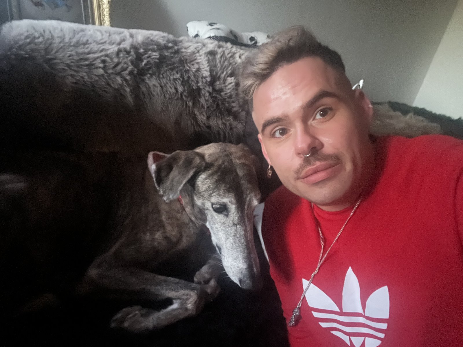 Kay, pet sitter in Zaandam, photo 2