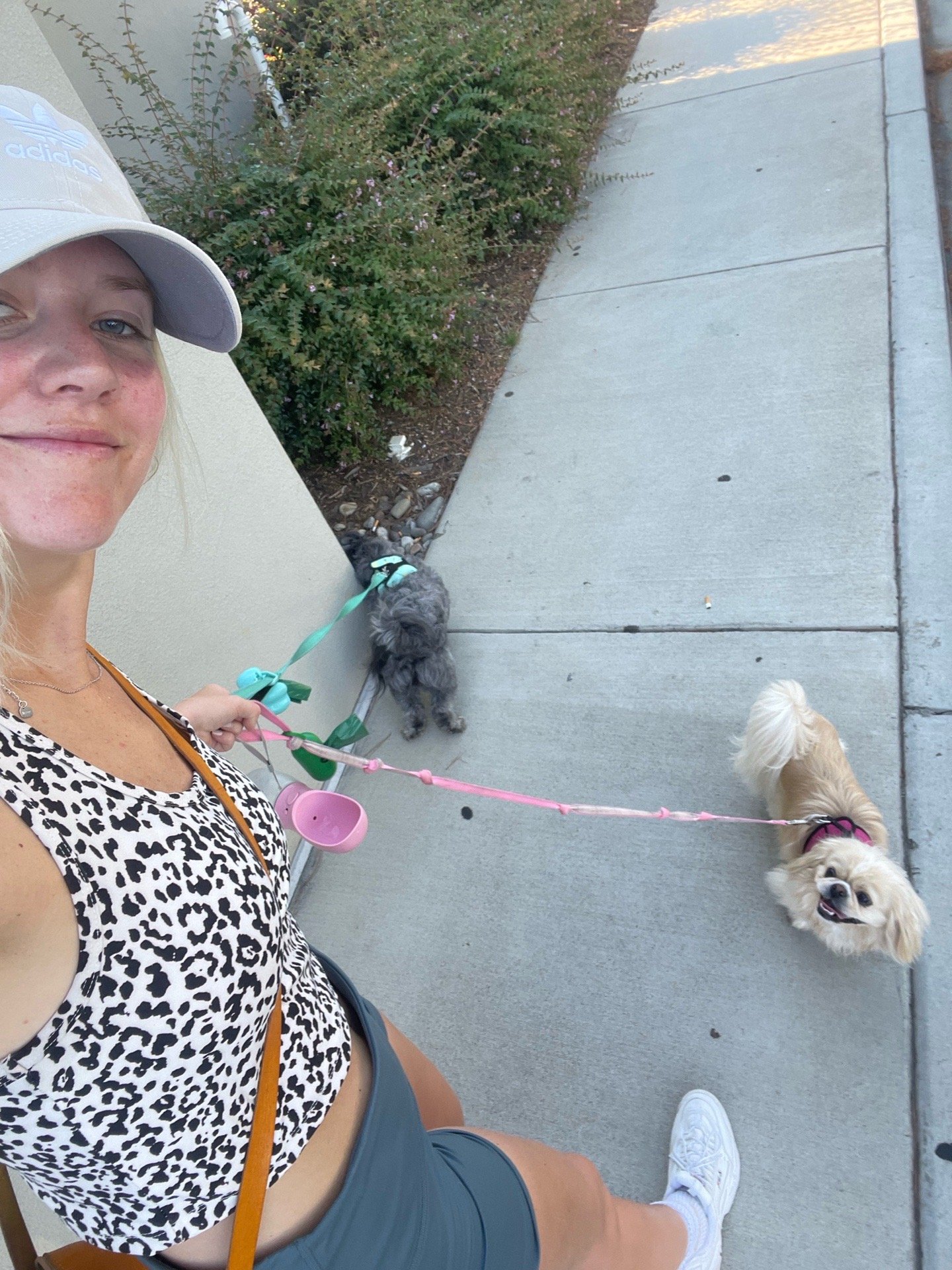 Jana, pet sitter in Breda, photo 2