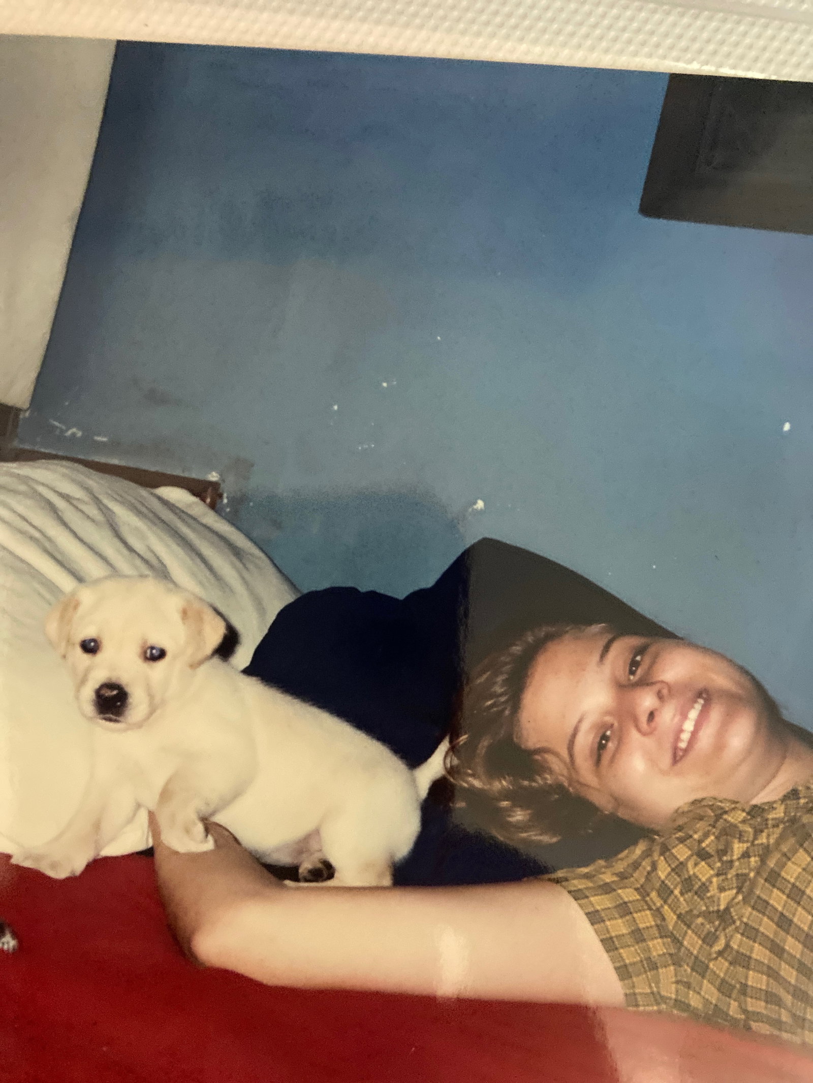 Carol, pet sitter in Utrecht, photo 2