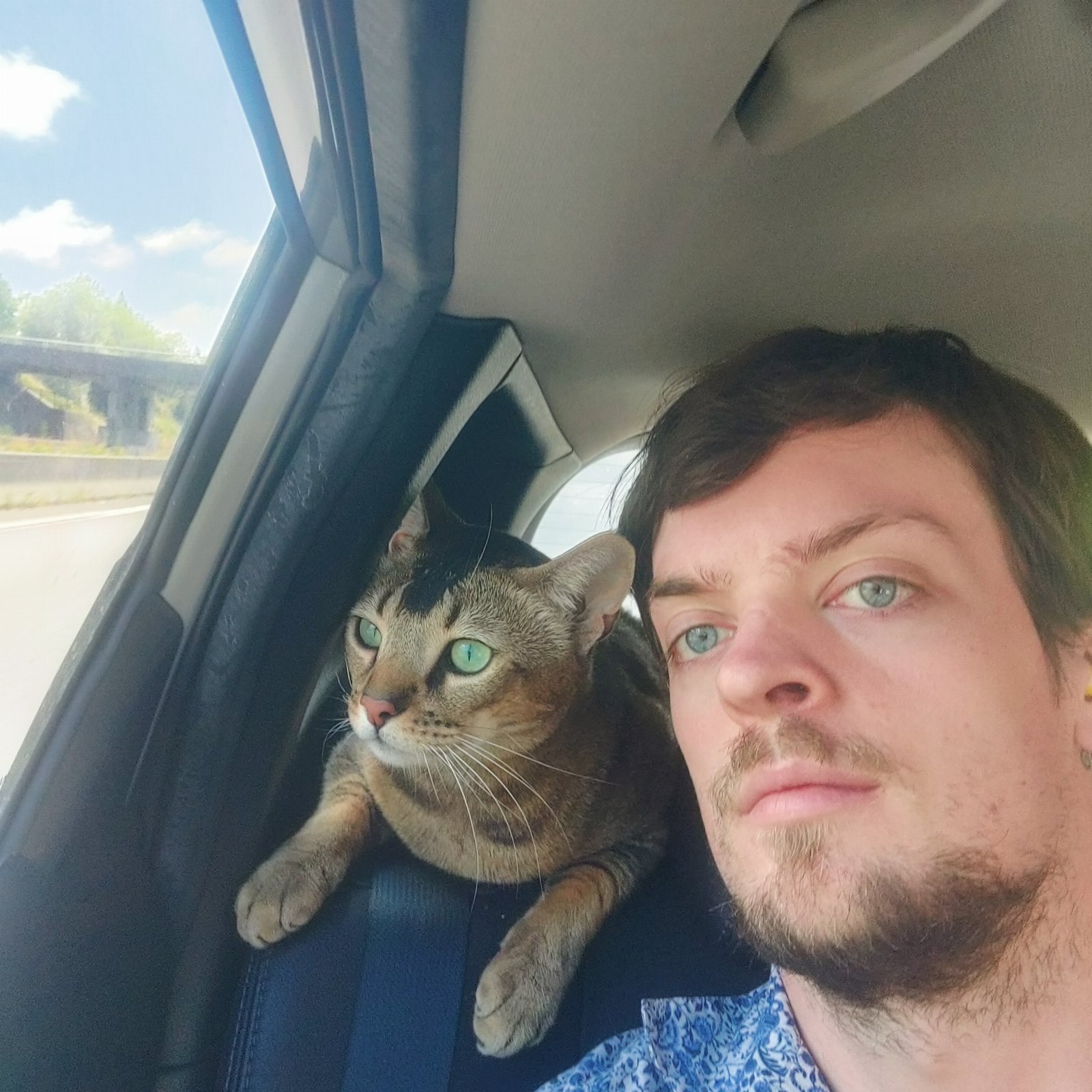 Michael, pet sitter in Geldrop, photo 2