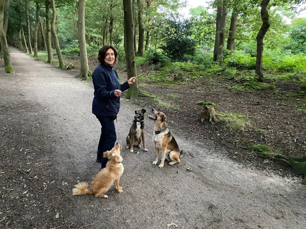 Jennyta, dierenoppas in Ede, foto 2