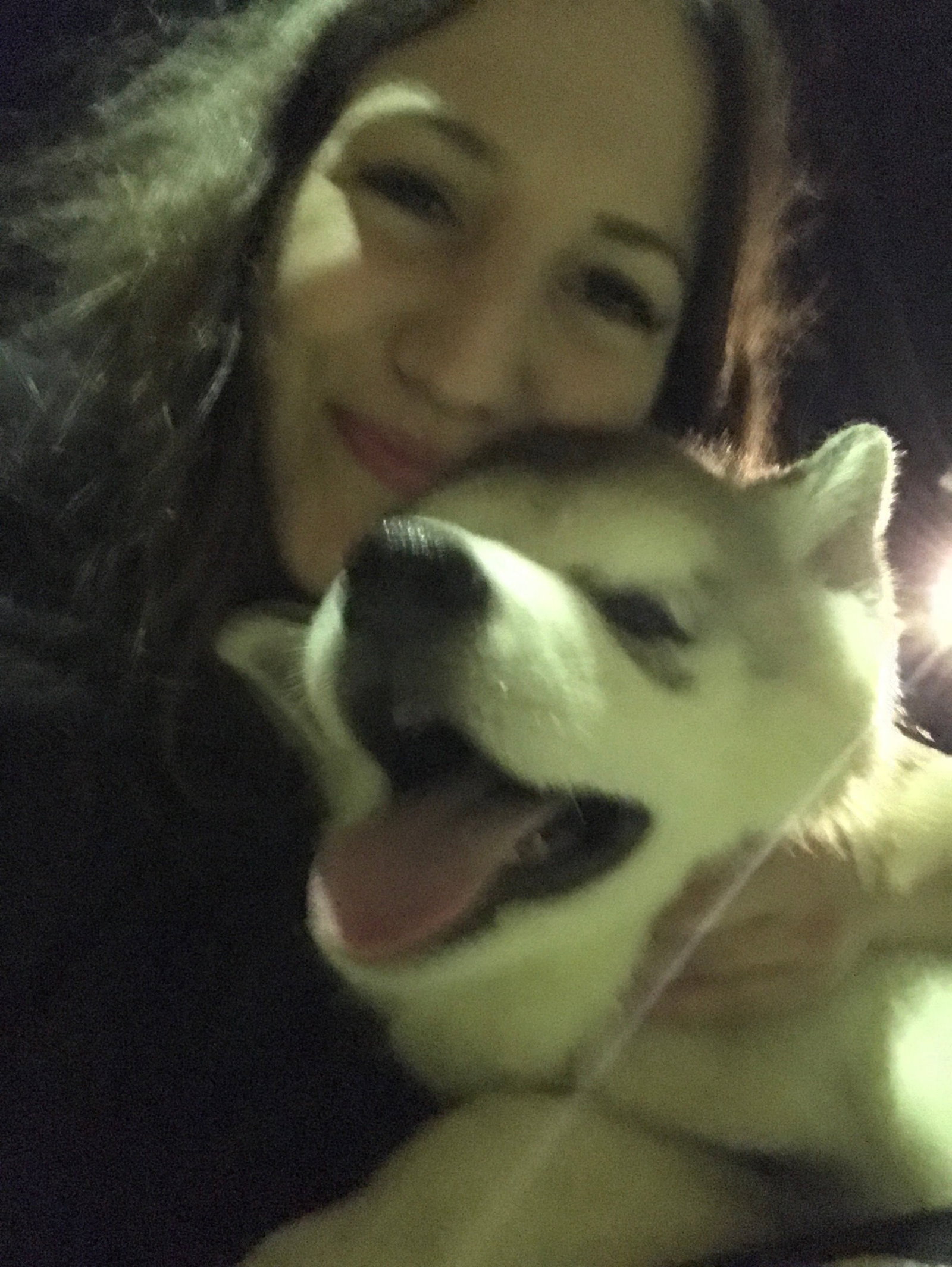 Chanel, pet sitter in Amsterdam, photo 2