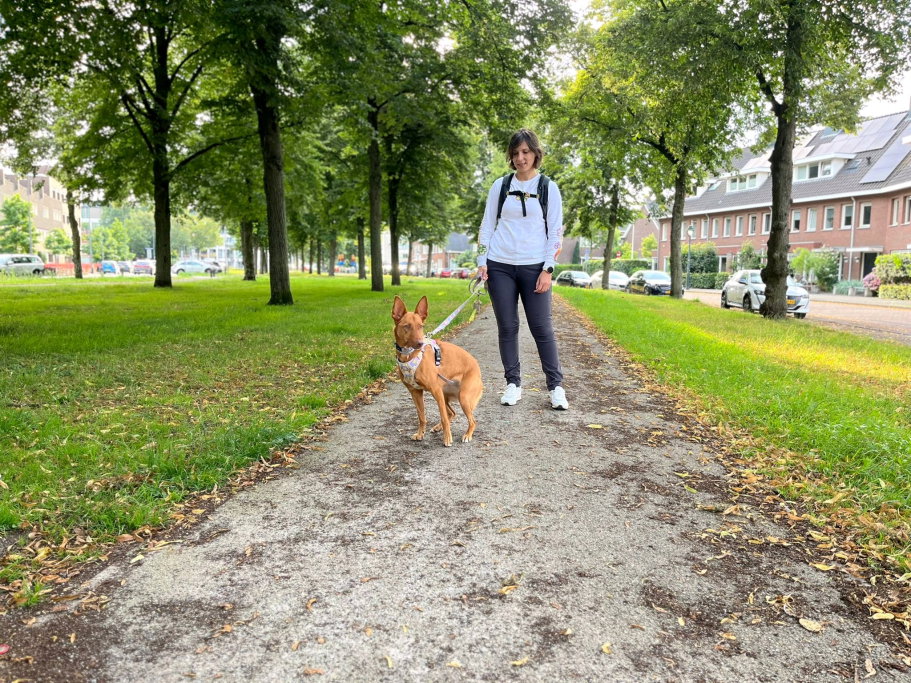 Maria, pet sitter in 's-Hertogenbosch, photo 3
