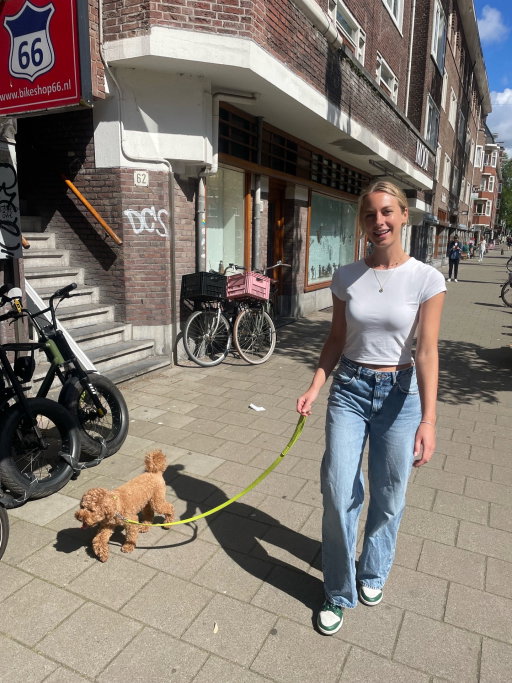 Merel, pet sitter in Haarlem, photo 5