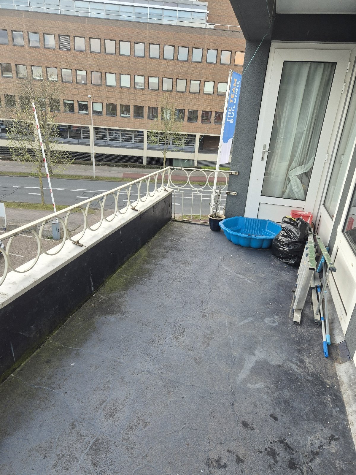 Els, dierenoppas in Utrecht, foto 1