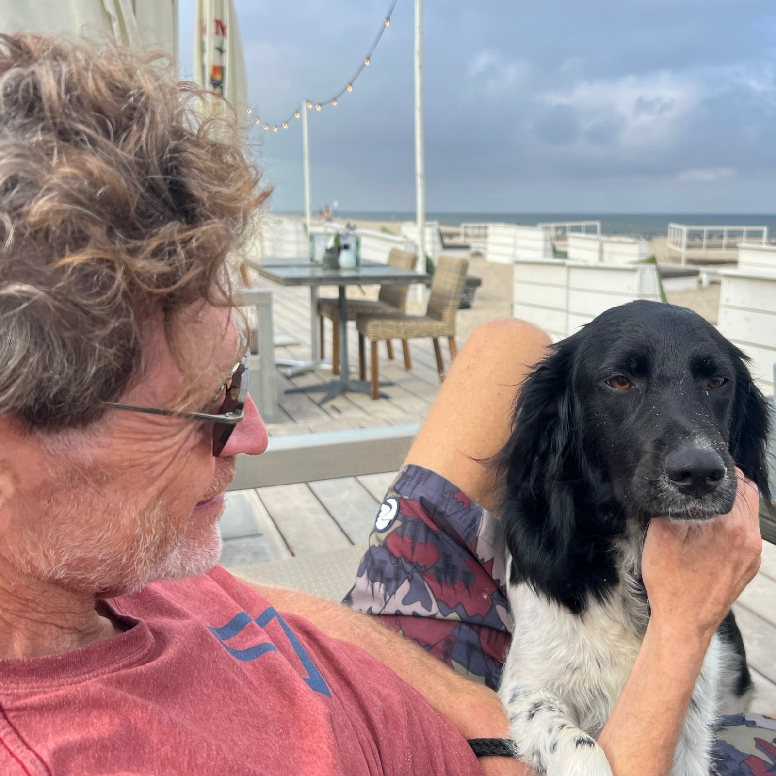 Linda, pet sitter in Maastricht, photo 4