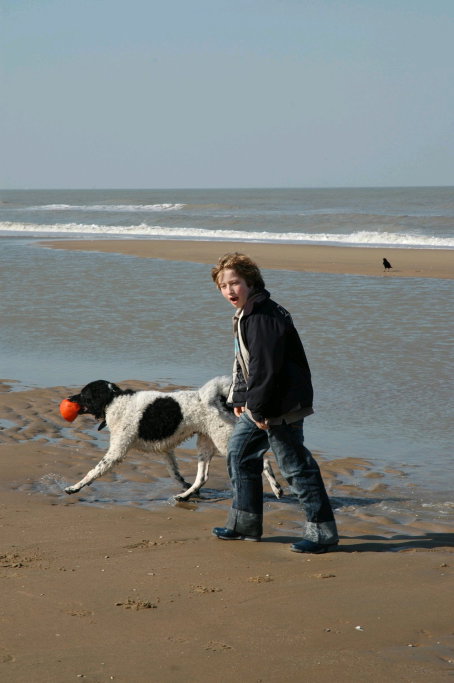 Quinten, pet sitter in Voorburg, photo 2