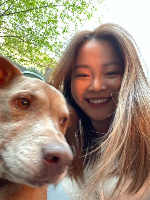 Ying, pet sitter in 's-Gravenhage, photo 4