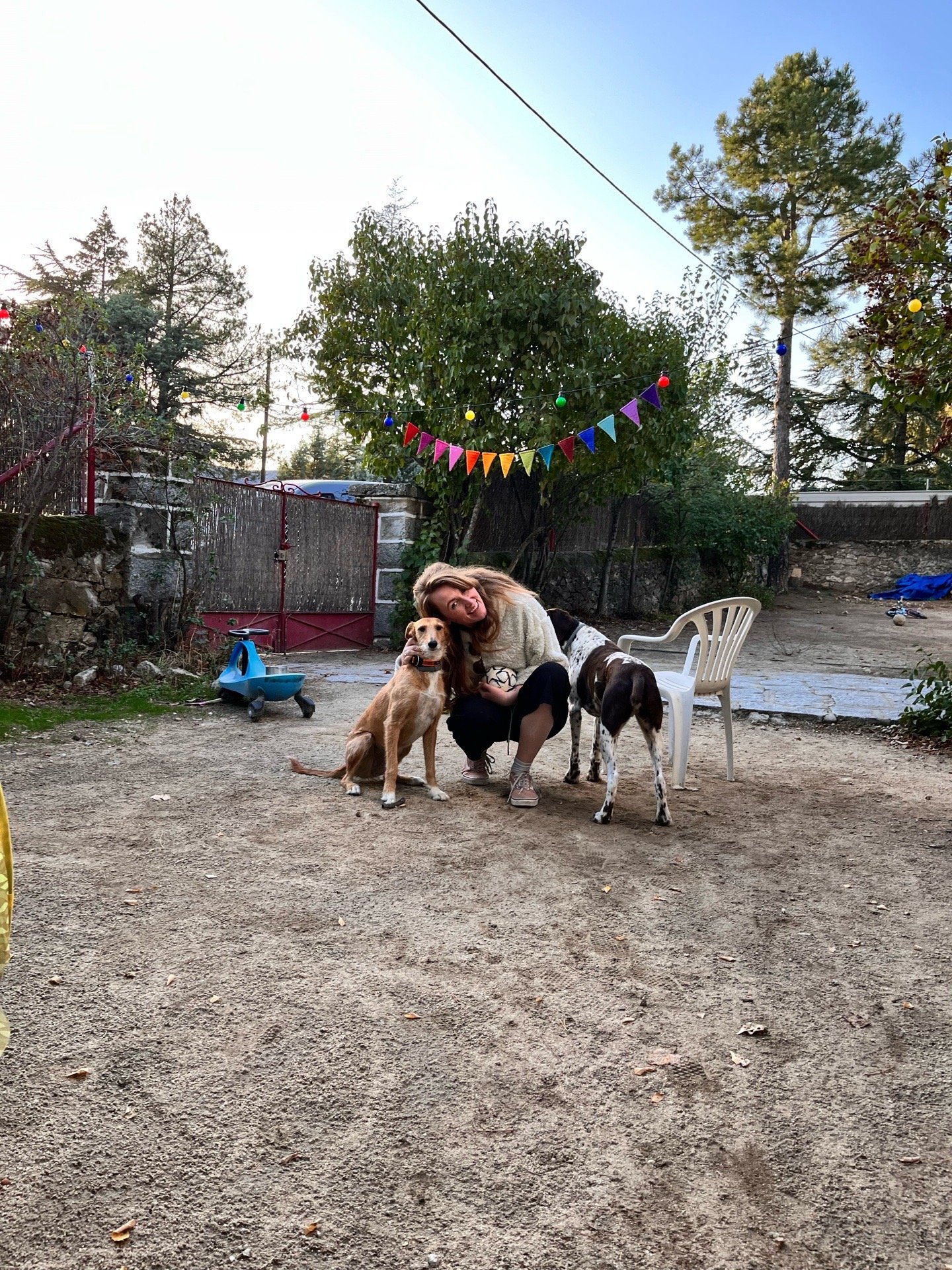 Ysja, pet sitter in Wintelre, photo 2
