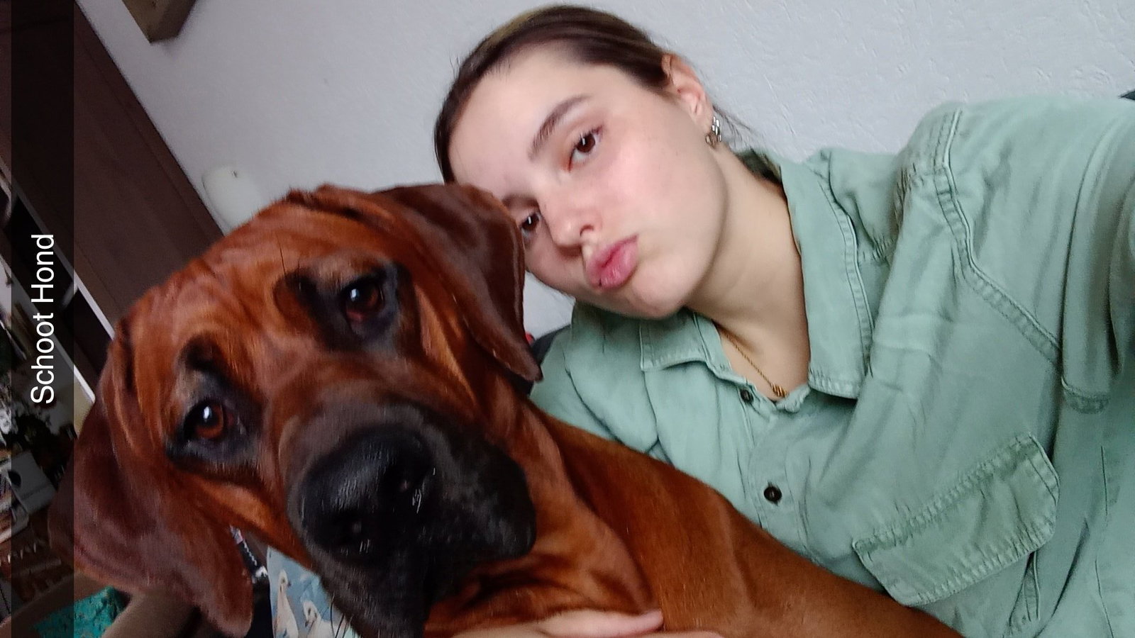 Nikkie, pet sitter in de wijk, photo 1
