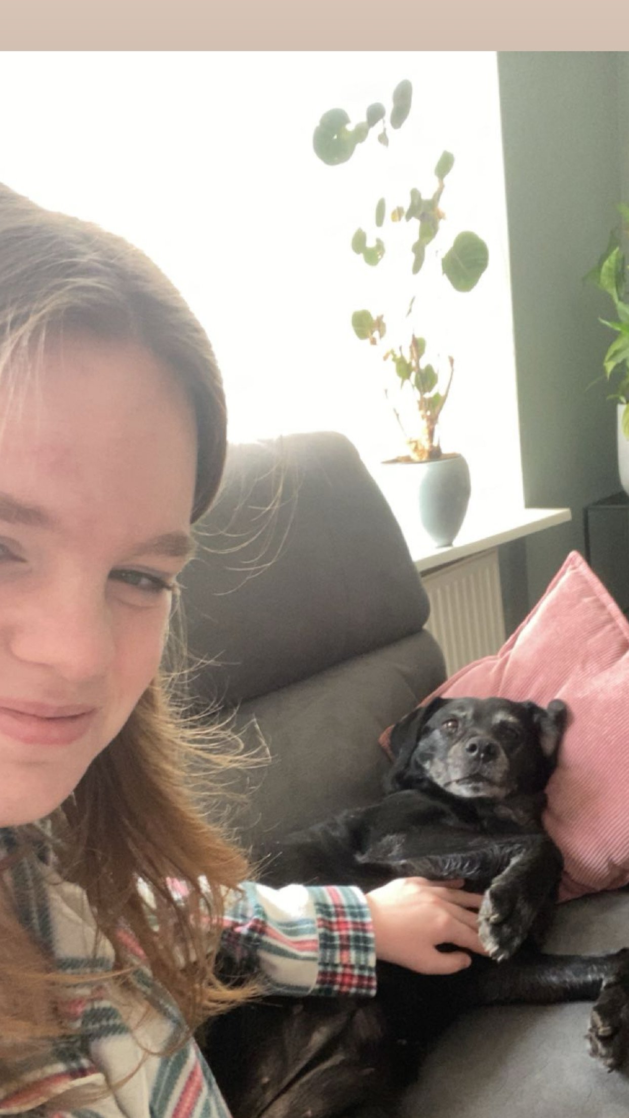 Lisa, pet sitter in Velserbroek, photo 2