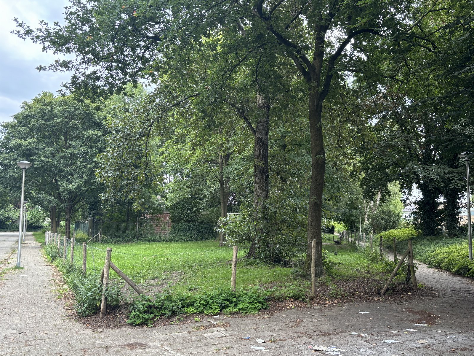 René, pet sitter in Groenlo, photo 3