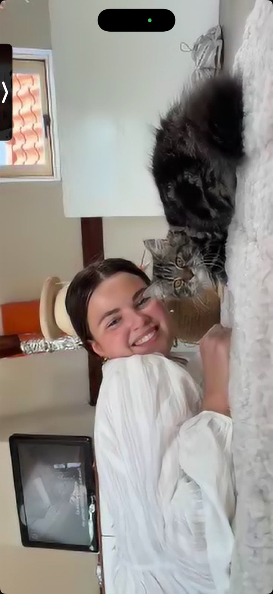 Mirthe, pet sitter in Gorinchem, photo 5