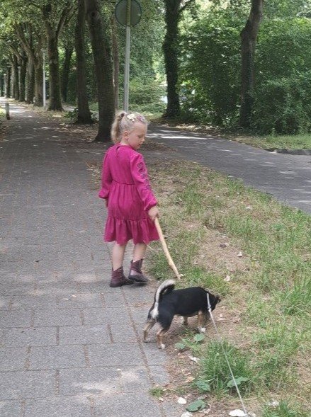 Sabine, pet sitter in EDE, photo 2