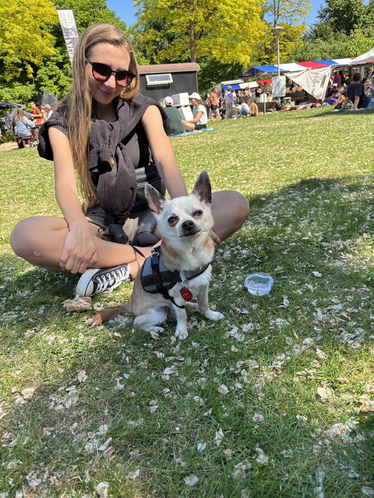 Viviana, pet sitter in Diemen, photo 2