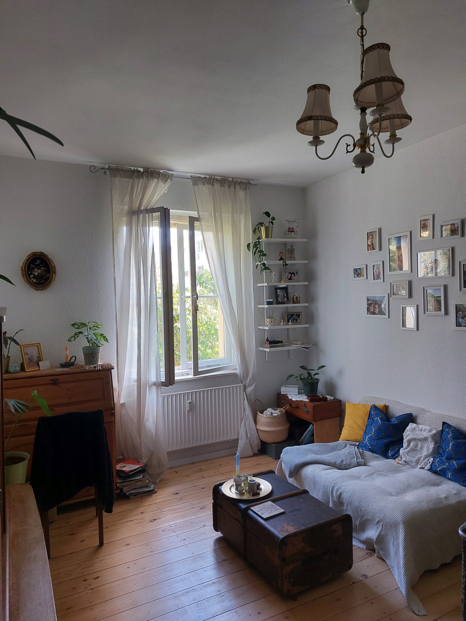 Alicia, Tiersitter in Berlin, Foto 1