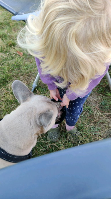 Mies, pet sitter in Merselo, photo 1
