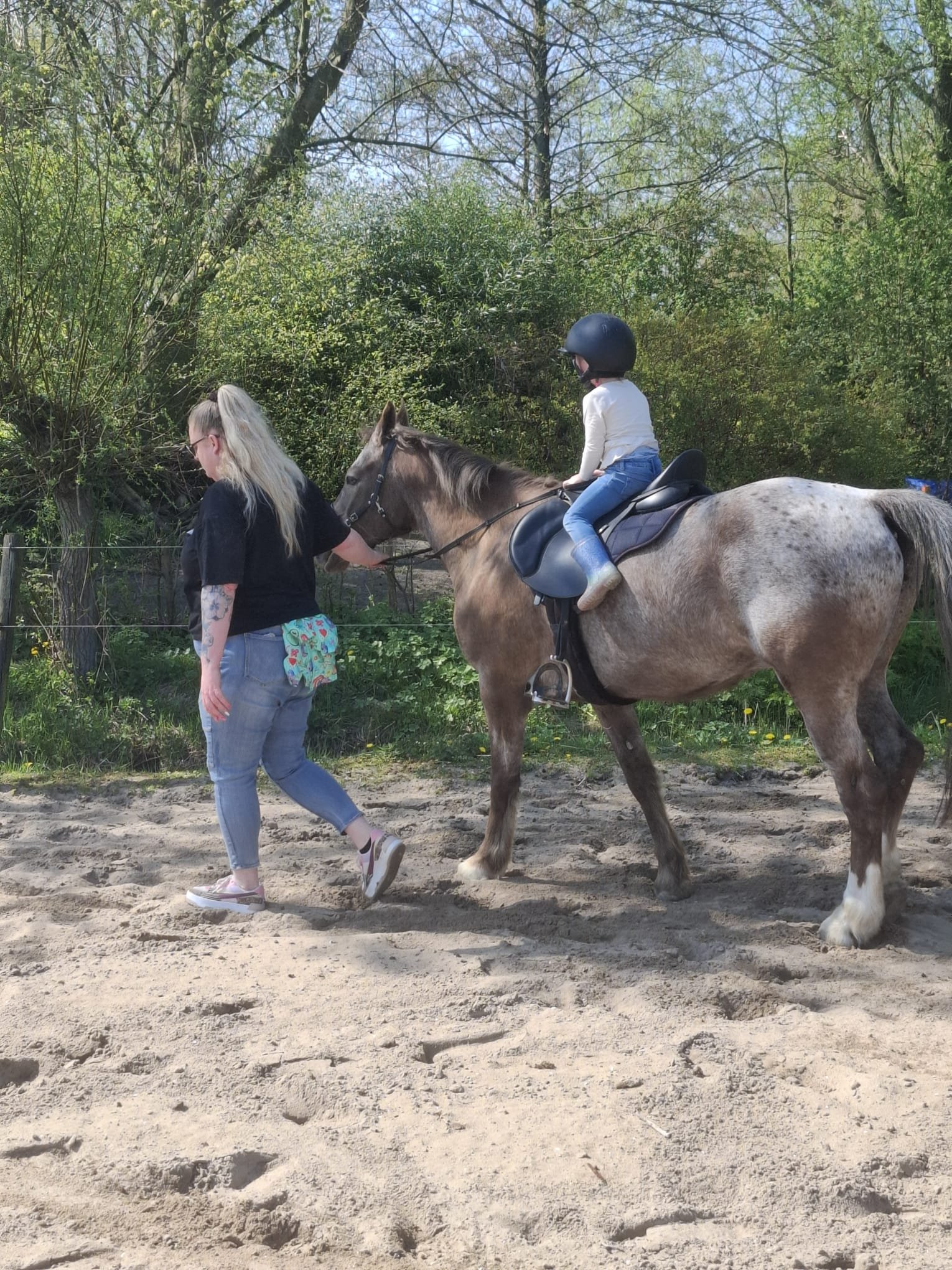 Eveline, pet sitter in Koedijk, photo 2