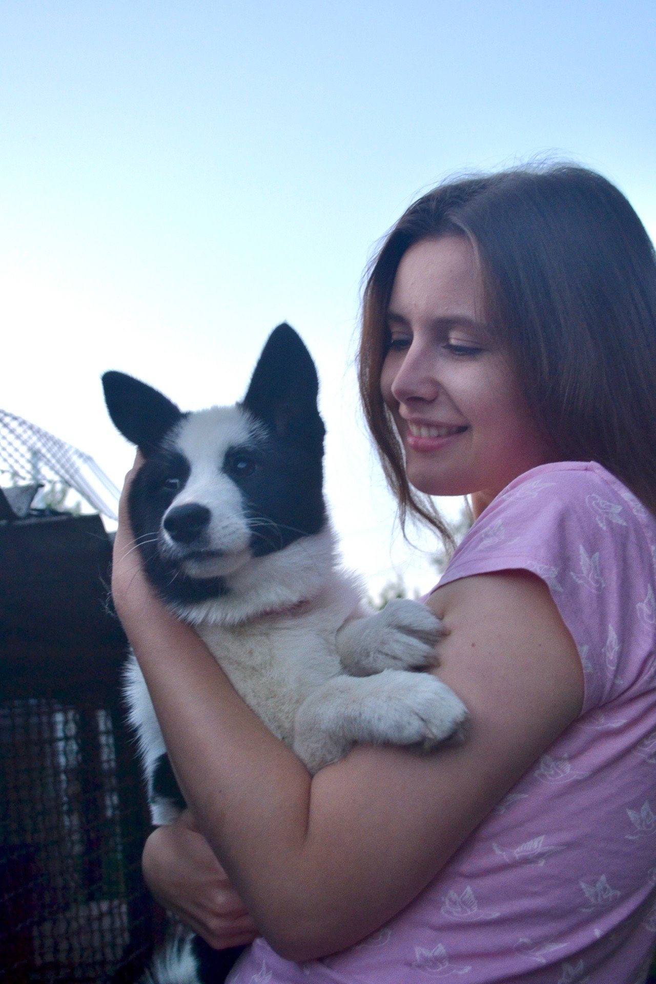 Tetiana, pet sitter in Stuttgart, photo 1