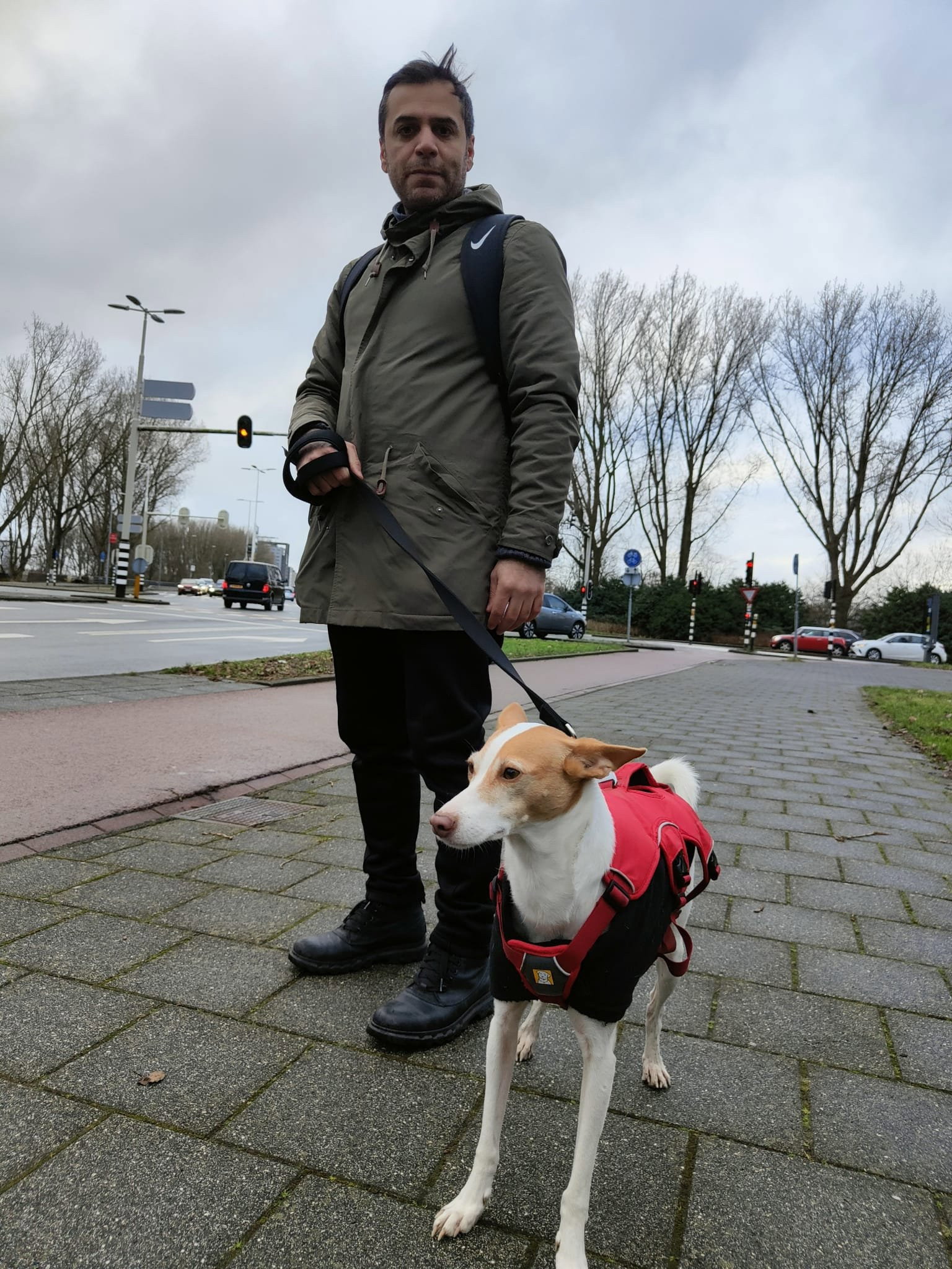 Mehdi, pet sitter in Amsterdam, photo 1